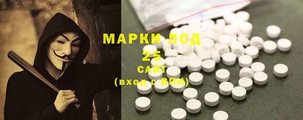 ПСИЛОЦИБИНОВЫЕ ГРИБЫ Корсаков