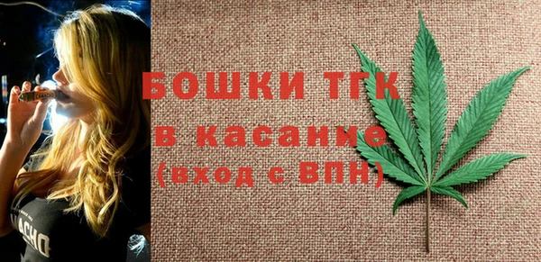 сатива Костерёво
