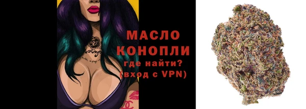 сатива Костерёво