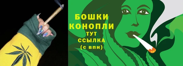 сатива Костерёво