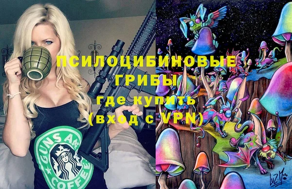 сатива Костерёво