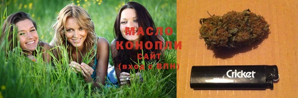 сатива Костерёво