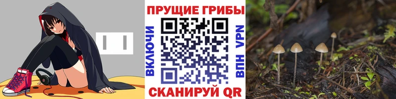 Галлюциногенные грибы мицелий Купить закладки Азов